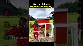 Best Chickens Moments in history 😂😁#ranking #funny #chicken #moments