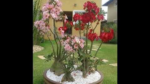 Hòa tấu nhạc cụ dân tộc chọn lọc (nhacj chất lượng cao}