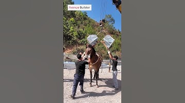 The bridge crane unfolds its arms- Good tools and machinery make work easy | #shortvideo #shorts