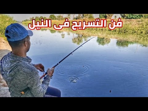التسريح الصحيح في نهر النيل بهذه الطريقه
