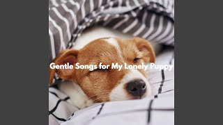 Uplifting Ambience for Forgetting Mirrors