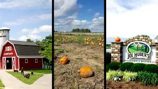Pumpkin Farm Simulator 2017 (IRL)