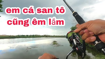 CÂU CÁ LÓC | LƯỠI CÂU CÁ LÓC | quốc toản fishing