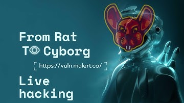 Live hacking session on a CTF challenge