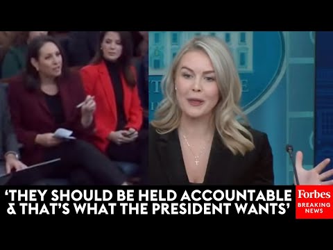 JUST IN Leavitt Gets Into Testy Exchange With Reporter Over Trump Post Accusing Dems Of Sedition