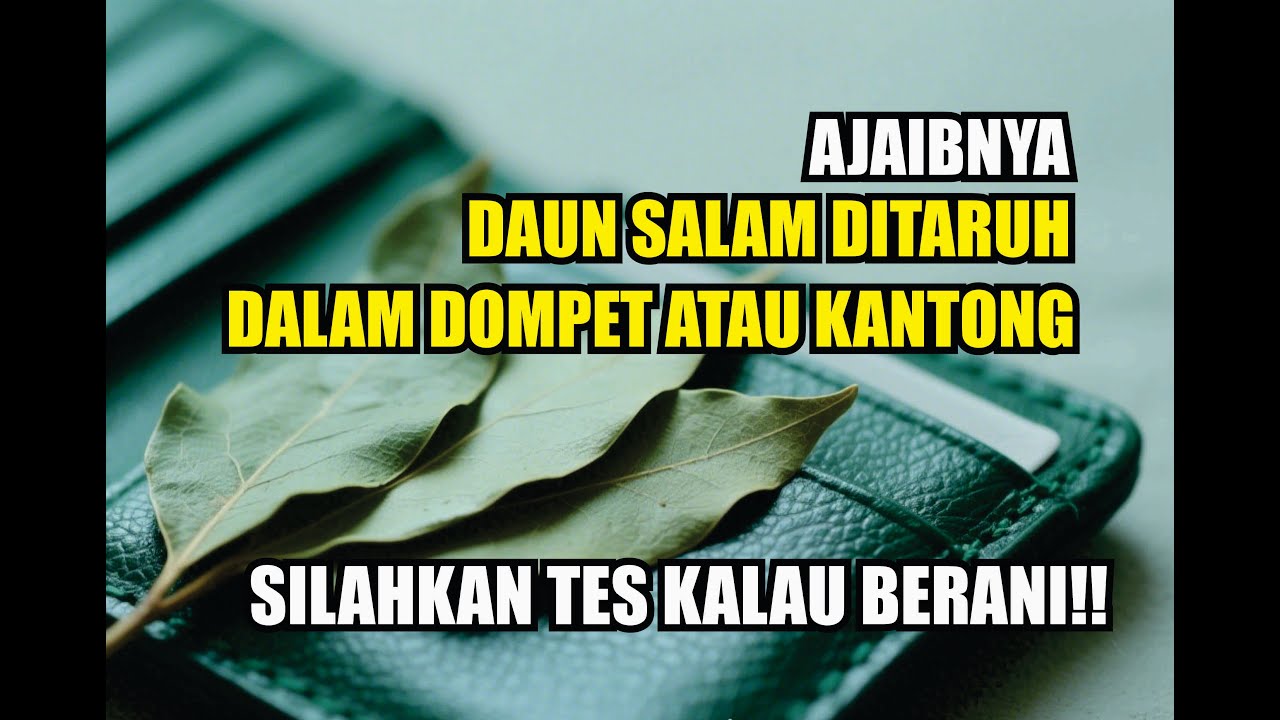 SILAHKAN DITES!!, 7 Keajaiban Meletakan 3 Daun Salam Di Dalam Dompet atau Kantong Dalam Spiritual
