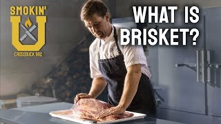 Brisket Smoking Class | Where Does the Brisket Come From on a Cow?