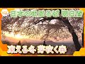 あなたのこと感じてる