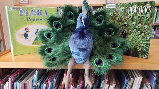 Tails & Tales Summer Reading 2021