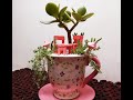 teacup garden ideas | miniature garden ideas