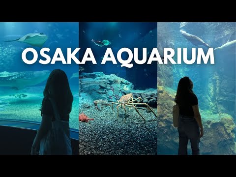 OSAKA AQUARIUM KAIYUKAN: Japan Travel Guide | Things to do in Osaka 🇯🇵