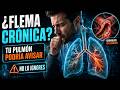 Flema Crónica: La Señal de Alerta Que Ignoras