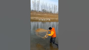 most satisfying cast net fishing,catch fish with the fishing net#short 5