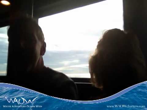 On Board - WAOW - 6:59pm Wednesday 6th of February 2013