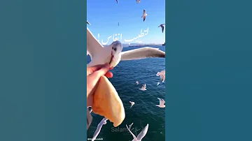ك الغيث ك ن أمل ا بدون موسيقى Cover2022 