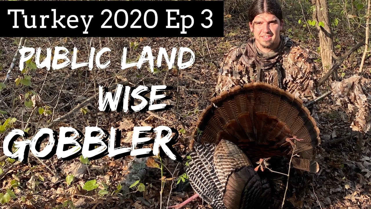 KILLING a PRESSURED PUBLIC LAND TURKEY (at 5 STEPS!!) /  HUNTING HARD ALL DAY on a Tennessee Gobbler