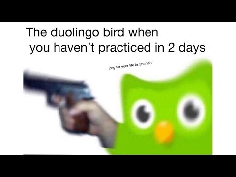 duolingo-memes