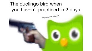 Duolingo Memes