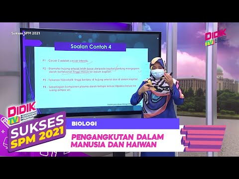 Video: Bagaimana Membenarkan Pendapat Anda Dalam Karangan? Manusia Dan Alam Semula Jadi