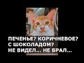 Смешные котики, лето, хорошее настроение