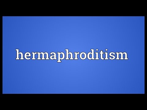 Hermaphroditism Meaning