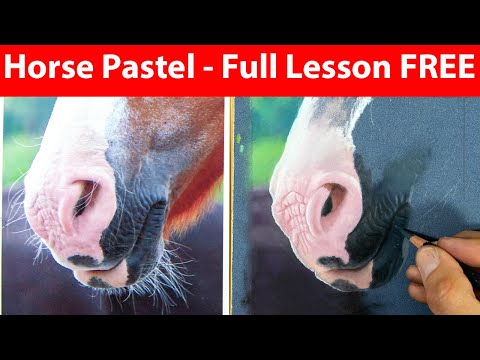 Horse Drawing Pastel FREE LESSON Jason Morgan