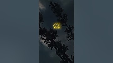 فدعا ربه أني مغلوب فانتصر بصوت الشيخ ياسر الدوسري #قرآن #اكسبلور #تلاوة_خاشعة #راحة_نفسية