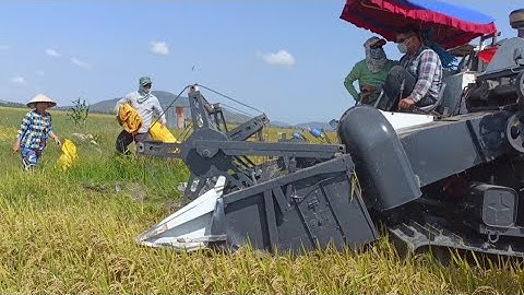 máy cắt lúa 63 cặp bến lên phà cắt lúa tốc độ cao tập 54#maibangtv