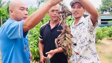 Thưởng Thức Nồi Cháo Chàng Hiu - Toàn Đen Sơn Dược Vlog