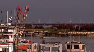 Oléron : une île riche de ses charmes et traditions