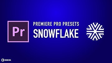 Premiere Pro Tutorial Snowflake Shape Free Preset by Chung Dha