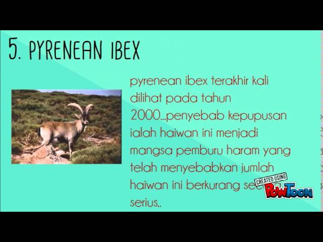 haiwan yang telah pupus - YouTube