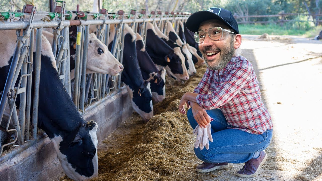 Spiking With Lactose?