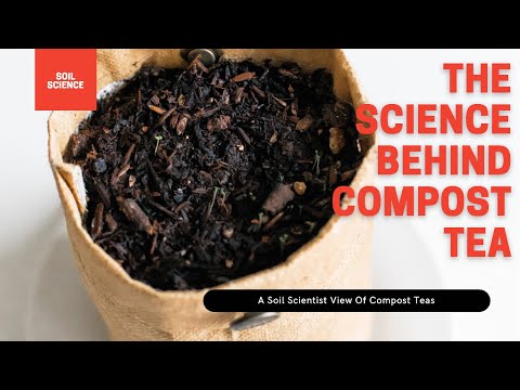 تصویری: کاربرد چای کمپوست: یاد بگیرید چگونه از چای کمپوست در باغ استفاده کنید