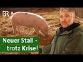 Neue Perspektive für Schweinehalter - dank Strohschweinen | Neuer Stall &amp;Wirtshaus | Unser Land | BR