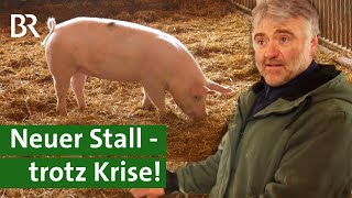 Neue Perspektive für Schweinehalter - dank Strohschweinen | Neuer Stall &Wirtshaus | Unser Land | BR