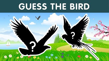 Guess the Bird Quiz | 12 Birds Names and Sounds