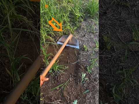 مجرفة حادة لازالة الاعشاب الضارة 