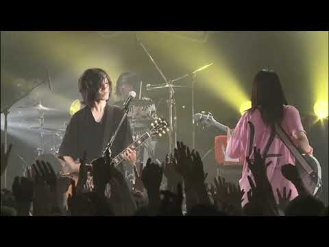 ヤバイTシャツ屋さん/ スプラッピ スプラッパ(LIVE 2016)