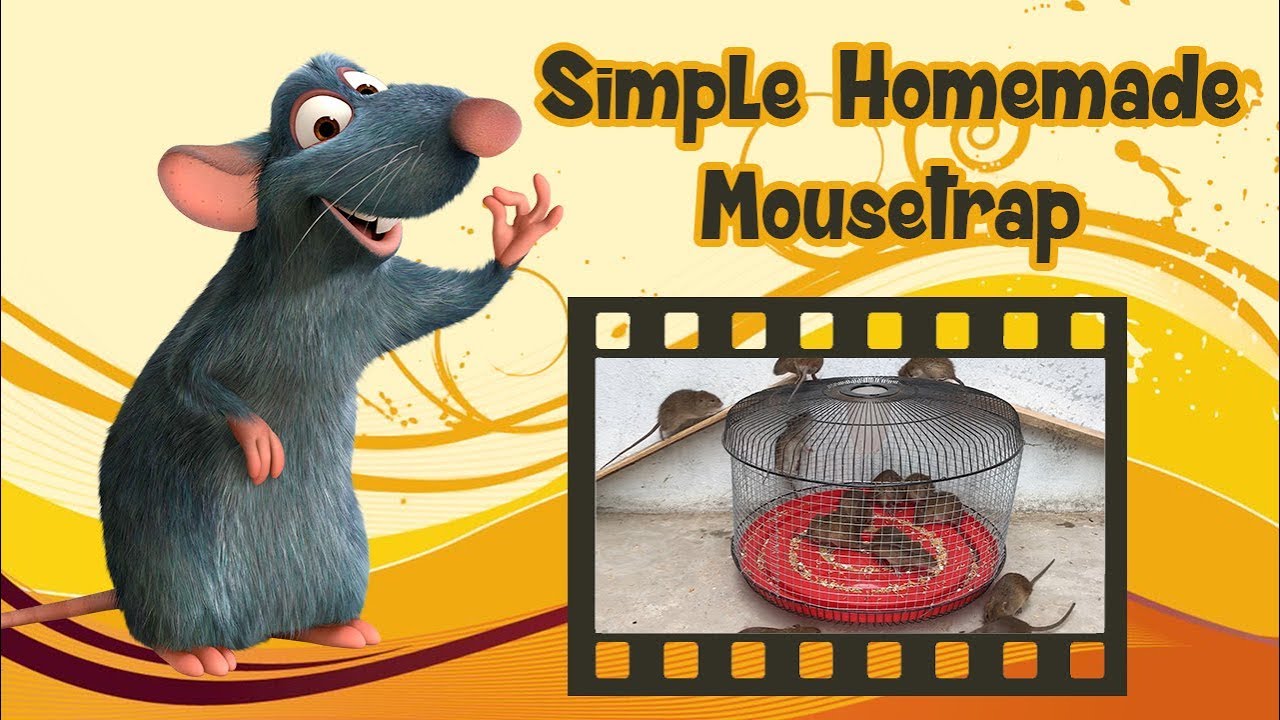 Mouse Trap Gif