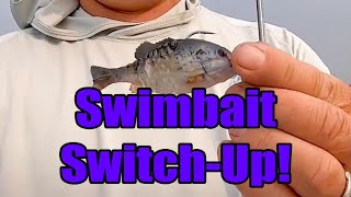 Switch Bait Profiles to Catch More Fish