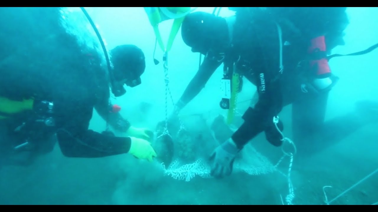 Tihi heroji Ep.02 - Ronioci iz Bijele