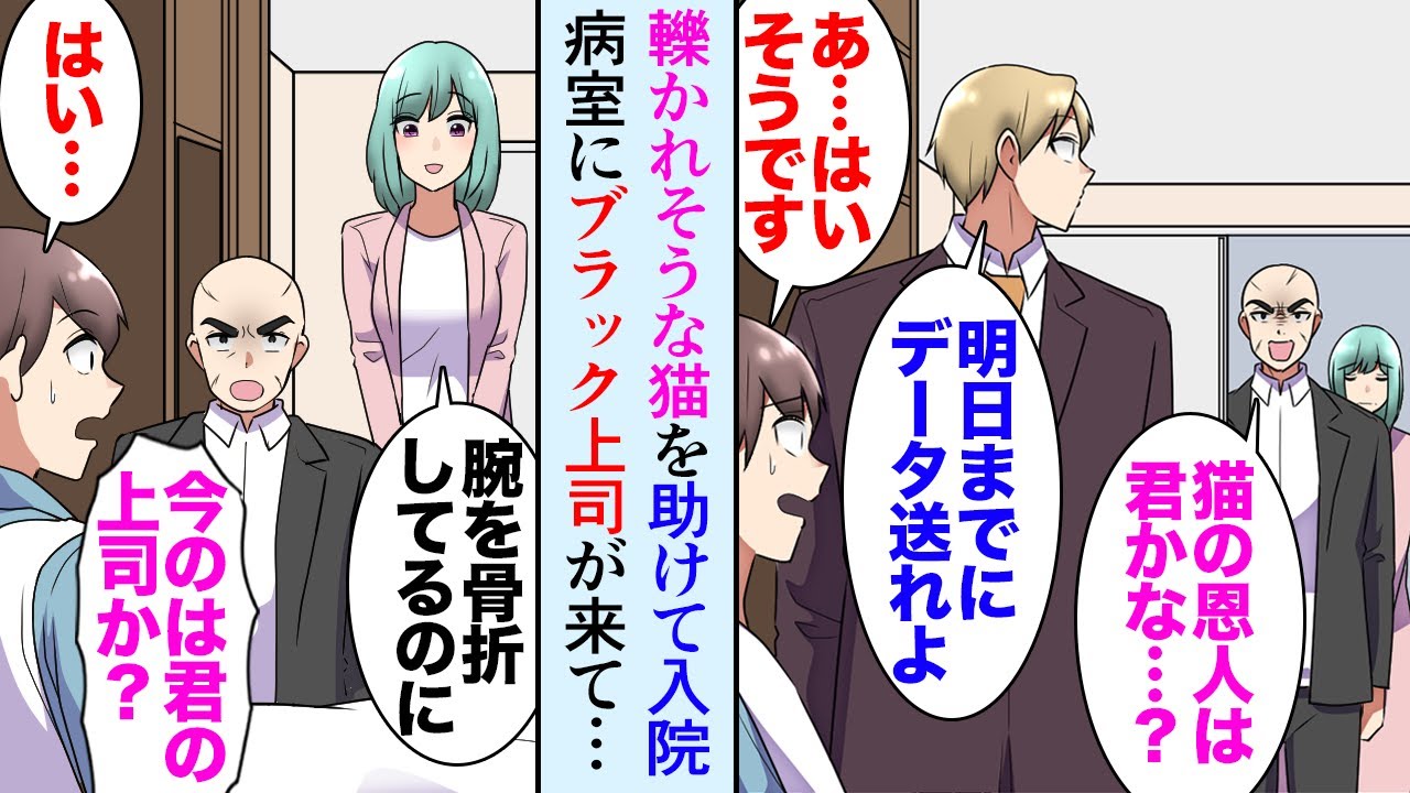 【漫画】会社帰りに交通事故に遭いそうな猫を助けた「危ない！」入院中、ブラック企業の上司が仕事を押し付けてきて…→飼い主「猫を助けてくれたのは君か…？」俺（ヤ、ヤクザだ…）人生大逆転【マンガ動画】
