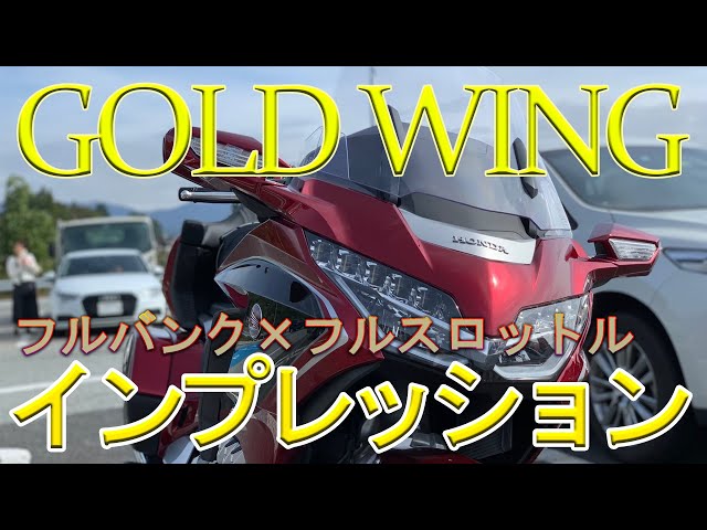 ペリカンズ ネイビー×ゴールドウィング 7 5/8 株式会社 松本エンジニアリング / スリップオン 2本出し Comp-S