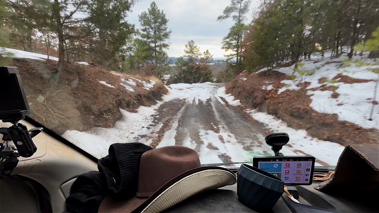 29 января 2026 г.