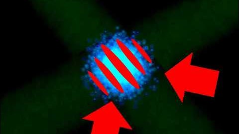 Collisions between strongly dipolar Bose condensates.