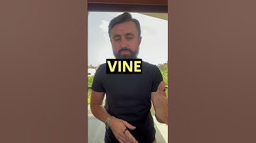 How to AVOID Negative Reviews with the Amazon FBA Vine Program