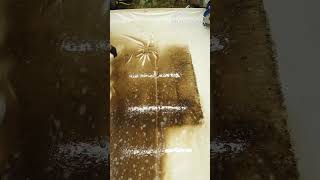 Karpit clining facebook viral video 📹 #trending #satisfying #viral  #expolore #duet 