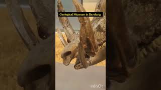 #SelfReminder 2057 🤲 #MuftiMenk #Celebochoerusheekereni #Toleersnt #Bandung #GeologicalMuseum