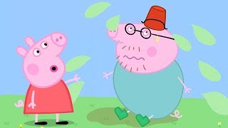 小猪佩奇 精选合集 | 60分钟 | 猪爸爸摔倒了 | 粉红猪小妹|Peppa Pig Chinese |动画